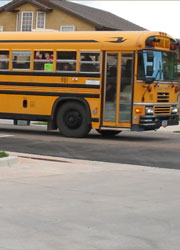 bussmall2